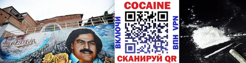 Купить  Каменск-Уральский  COCAIN FishScale 