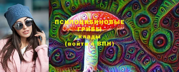 спиды Дмитров