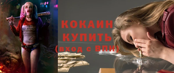 соль ск Дмитровск