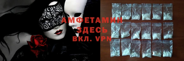 амф Дмитриев