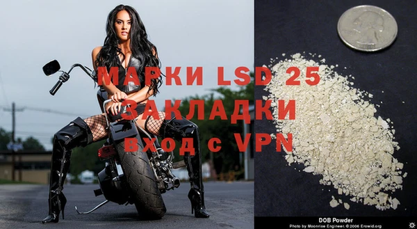 спиды Дмитров