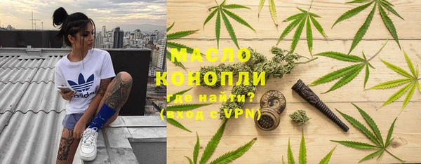амф Дмитриев