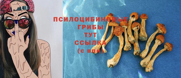 амф Дмитриев