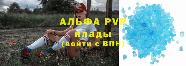 спиды Дмитров